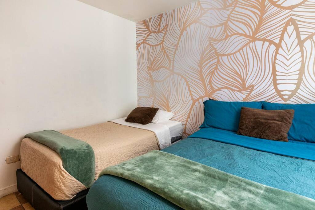 Park Narvarte Apartment